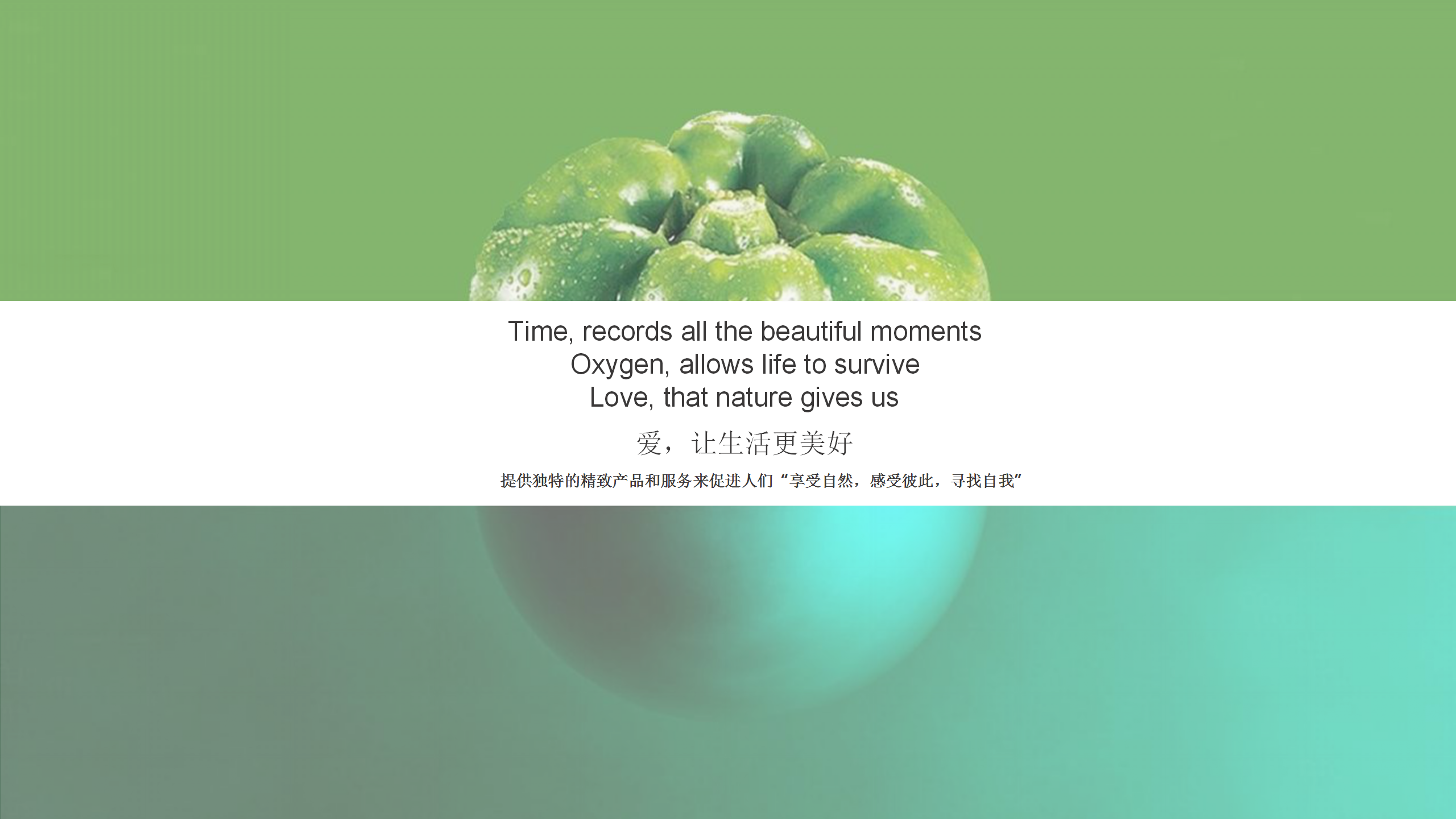 1618468334412534.png